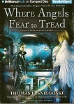 Fantasy Audiobook - Where Angels Fear to Tread by Thomas E. Sniegoski border=