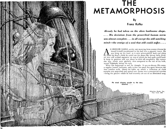 The Metamorphosis by Franz Kafka - illustrated by either Finlay or Lawrence