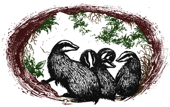 Badger Folk - illustration by Pauline Baynes