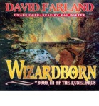 Fantasy Audiobook - Wizardborn by David Farland
