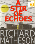 A Stir Of Echoes by Richard Matheson