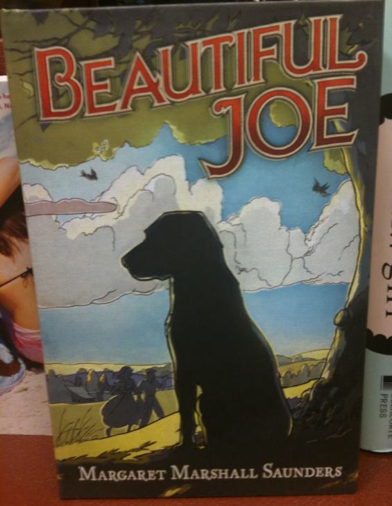 Beautiful Joe COVER