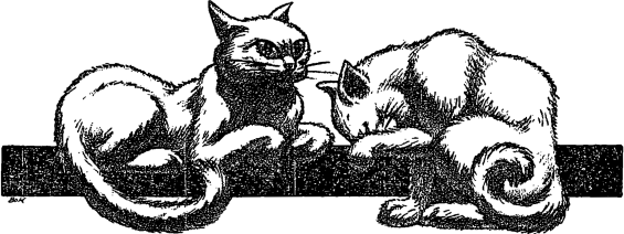 Hannes Bok illustration for The Cats Of Ulthar by H.P. Lovecraft