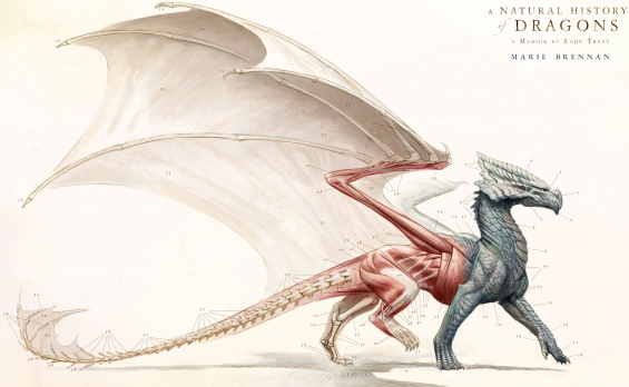 A Natural History Of Dragons by Marie Brennan