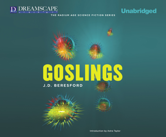 Dreamscape Audiobooks Goslings by J.D. Beresford