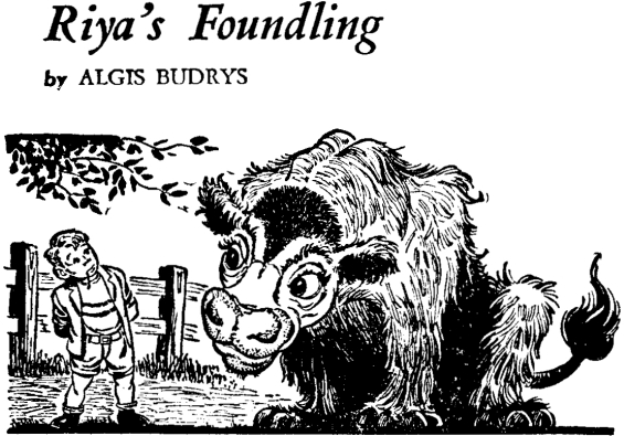 Riya's Foundling by Algis Budrys
