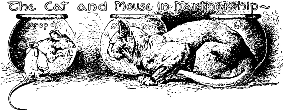 The Companionship Of The Cat And The Mouse