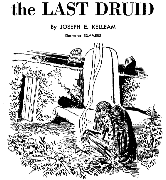 The Last Druid by Joseph E. Kelleam