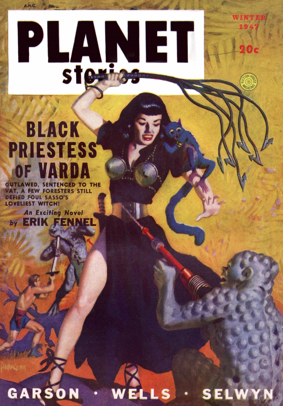 Black Priestess Of Varda by Erik Fennel - cover art by ALLEN ANDERSON