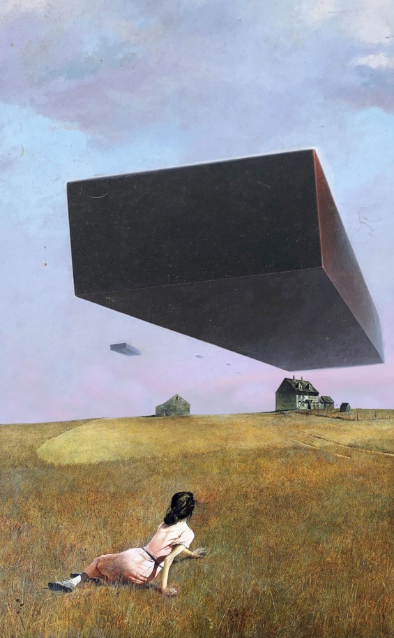 The Visitors [to Christina's World]