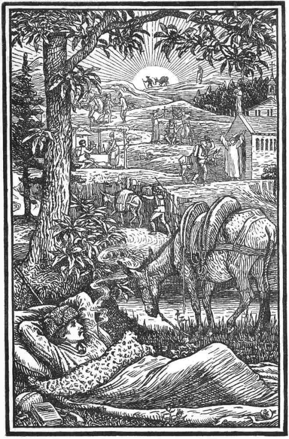 Travels With A Donkey